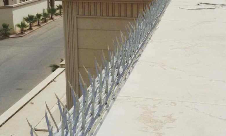 شركة مكافحة الحمام بالرياض