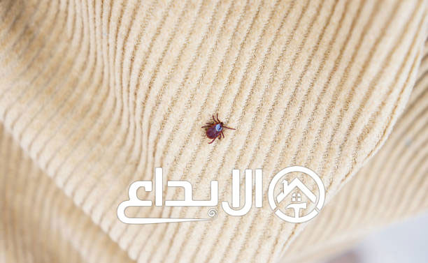 ابادة حشرات الفراش