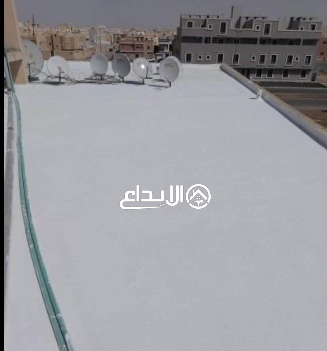 فحص سطح مبنى قبل العزل