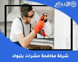 شركة مكافحة حشرات بتبوك