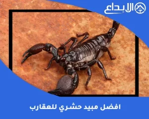 افضل مبيد حشري للعقارب