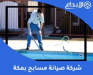 شركة صيانة مسابح بمكة