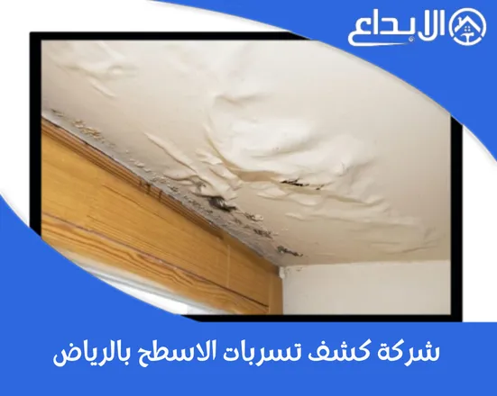 شركة كشف تسربات الاسطح بالرياض