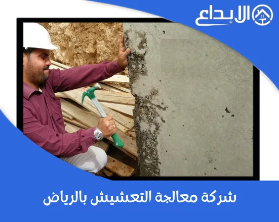 شركة معالجة التعشيش بالرياض 